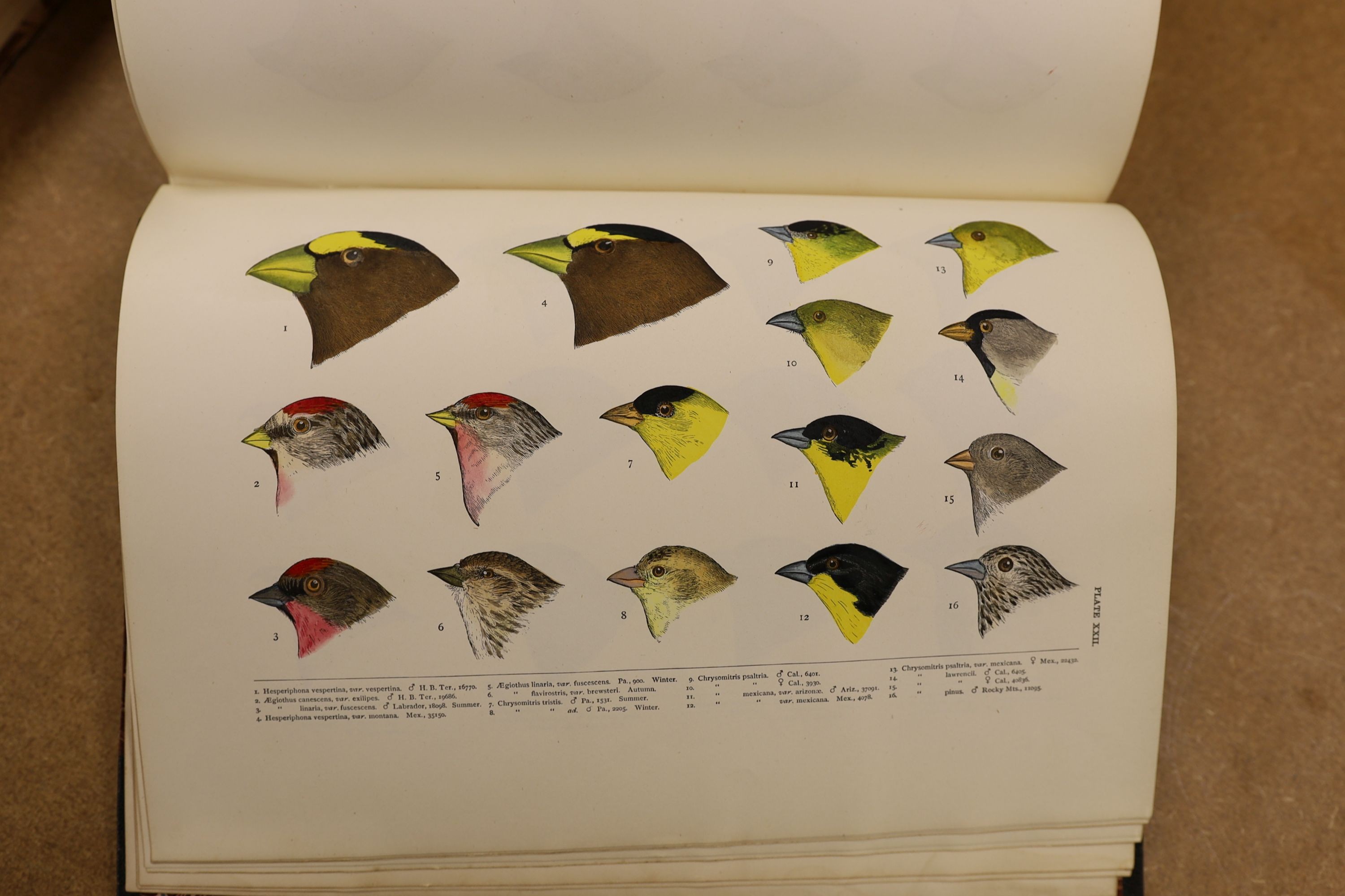 Baird, S.F. & Others - A History of North America Birds: Land Birds, 3 vols., coloured plates and other illus.; old half leather and marbled boards, gilt tops and marbled e/ps., 4to.